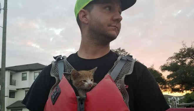 Homem salva gato dentro de um carro que foi levado pelo furacão Harvey, nos EUA
