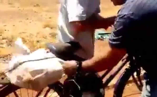 Homem que levava cãozinho amarrado dentro de saco é identificado pela polícia de Bom Jesus de Goiás, GO
