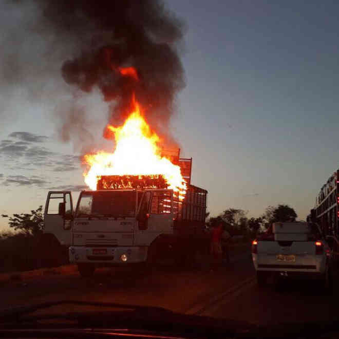 Animais morrem após caminhão boiadeiro pegar fogo na BR-153, em Uruaçu, GO