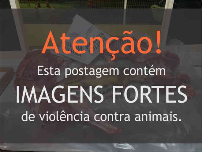 Em Arinos (MG), polícia apreende animais da fauna silvestre abatidos