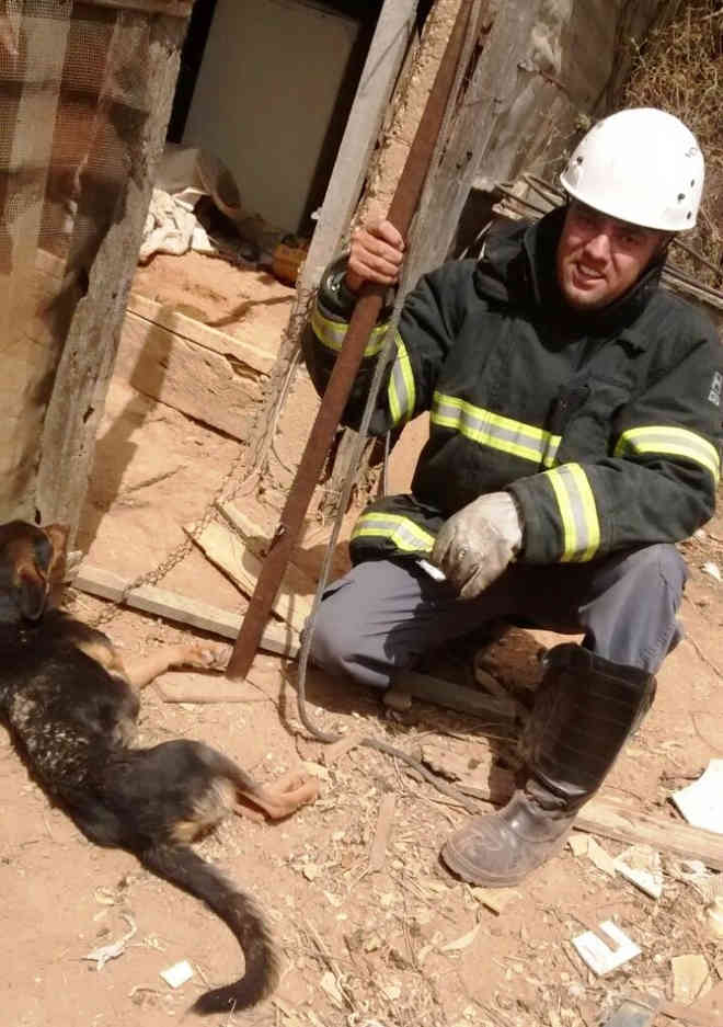 Bombeiros resgatam cão que estava há 2 dias numa vala de cerca de 30 metros em Barbacena, MG