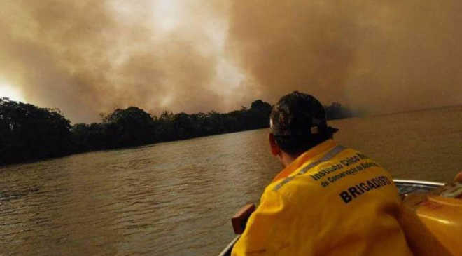 Animais sofrem com fogo e fumaça no Parque Nacional de Ilha Grande, MS