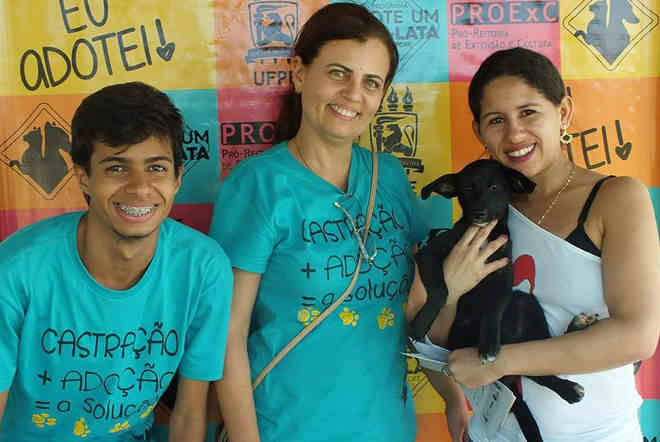 Em Aldeia (PE), Projeto Patinha quer reduzir população de animais nas ruas