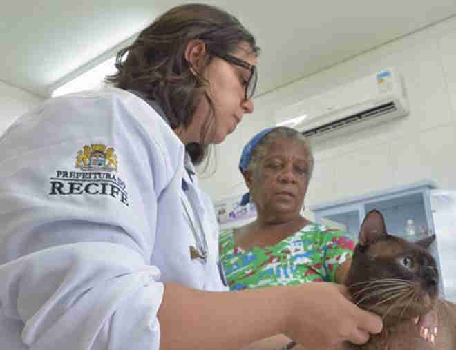 Hospital Veterinário do Recife (PE) agenda castração gratuita de cães e gatos