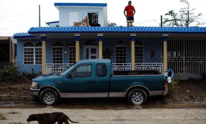 Casal desafia furacão Maria para salvar animais de estimação em Porto Rico