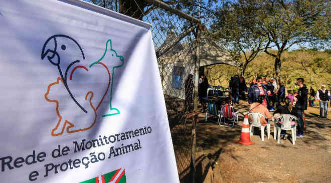 ONGs e protetores podem inscrever cães para adoção até sexta, em Curitiba, PR