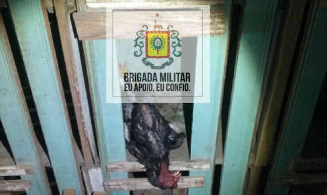 Brigada Militar prende acusados de promover rinha de galo em Catuípe, RS