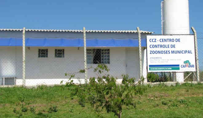 CCZ de Capivari (SP) realiza castração e animais recebem microchip