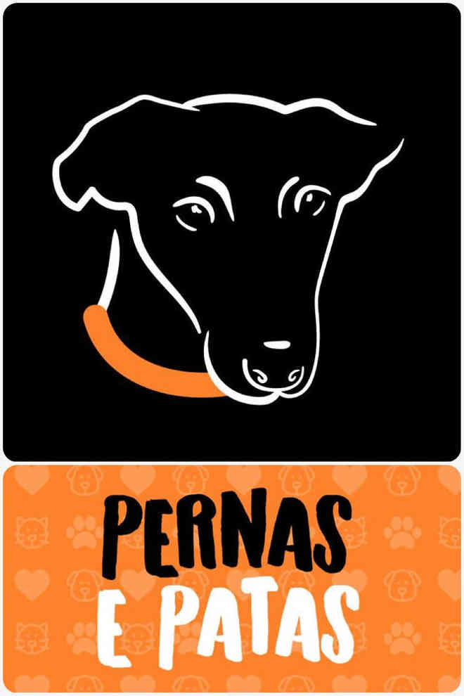 Projeto resgata cachorros doentes das ruas de São José dos Campos, SP