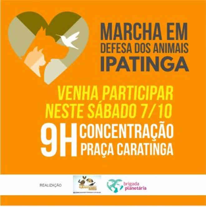 Ipatinga (MG) terá marcha em defesa dos animais neste sábado