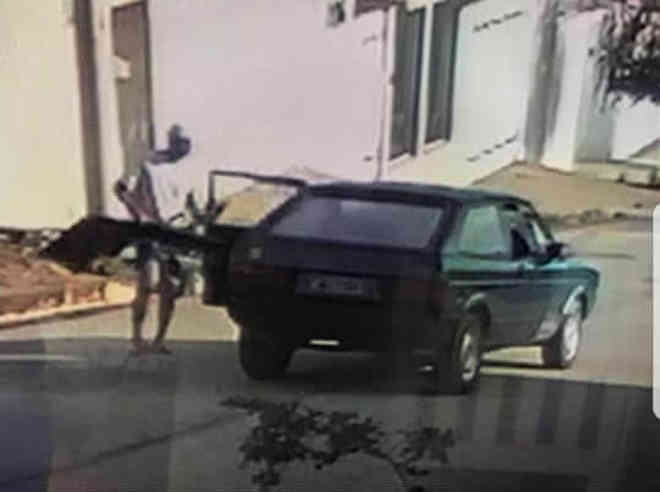Motorista flagrado atropelando cães de rua se apresenta à polícia em Pouso Alegre, MG