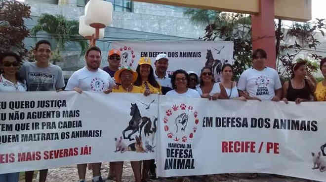 Entidades realizam marcha em defesa dos animais na orla do Recife, PE