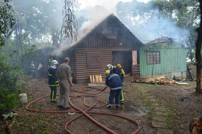 Incêndio destrói casa que abrigava mais de 30 cães da ONG Defesa Animal, em Lapa, PR