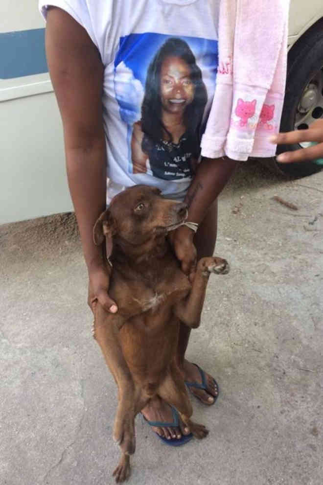 Cachorro de mulher morta após levar coronhada de PM acompanha enterro na Zona Oeste do Rio