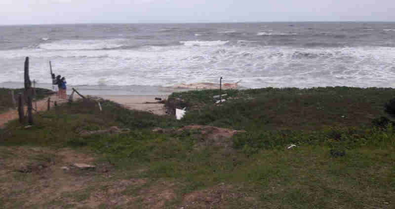 Baleia aparece morta na Praia do Tabuleiro em Barra Velha, SC