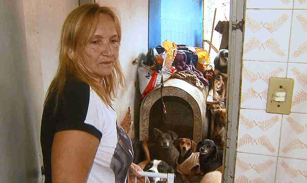 Dona de casa pede ajuda para cuidar de 65 cães resgatados das ruas em Rio Claro, SP