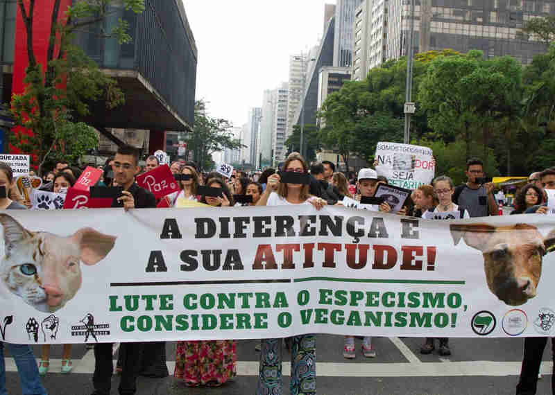 Grupo protesta na Av. Paulista contra consumo de alimentos de origem animal