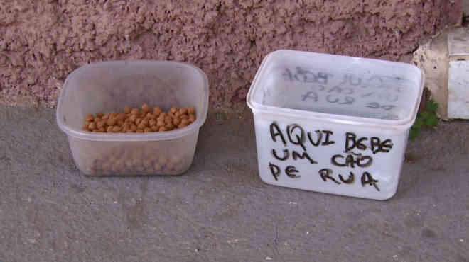 Comerciantes dão água e ração a cães abandonados, em São João da Boa Vista, SP