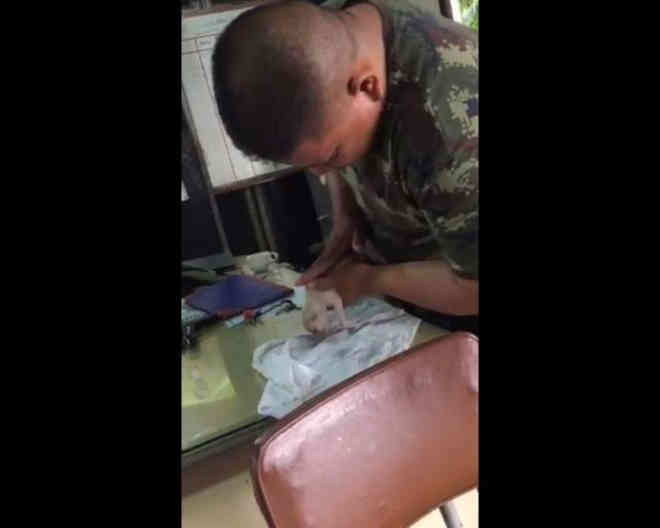 Soldado salva vida de filhote de cachorro com massagem cardíaca; assista