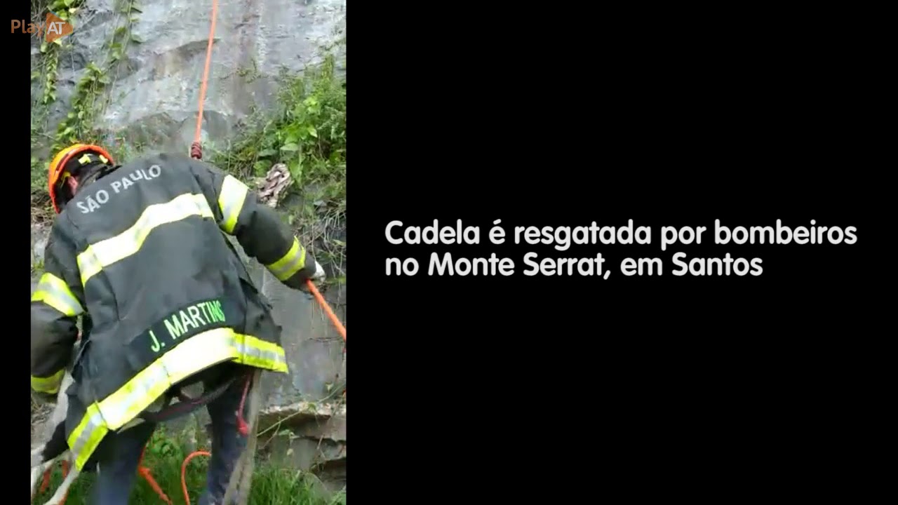 Bombeiros de Santos (SP) resgatam cachorra presa no Monte Serrat; vídeo