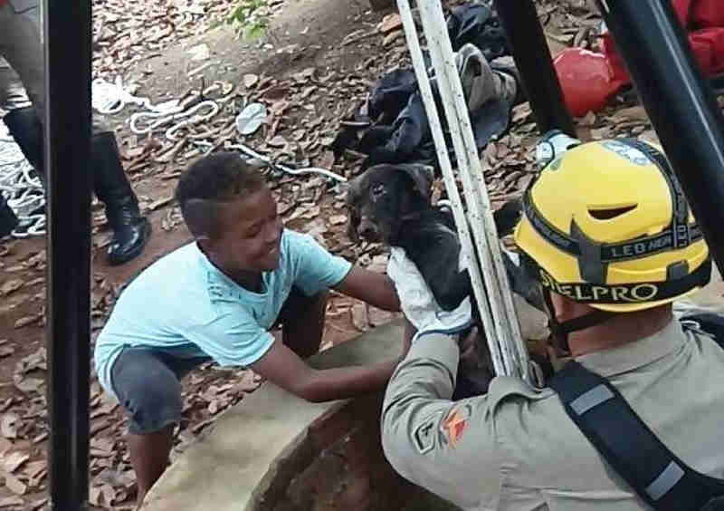Corpo de Bombeiros resgata cão em fosso de 10 metros