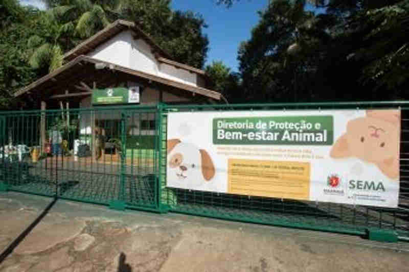 Duas multas por maus-tratos a animais já foram aplicadas em Maringá, PR