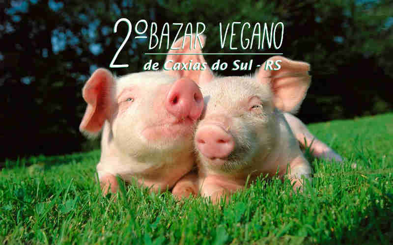 ONG de proteção animal promove neste domingo o Bazar Vegano em Caxias do Sul, RS