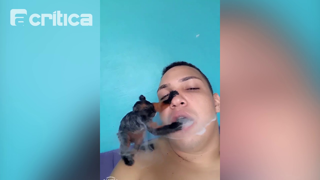 Homem que publicou vídeos com macaco inalando fumaça de maconha é preso pela PM