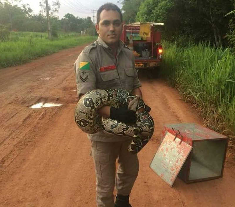 Quase 1,5 mil animais silvestres foram resgatados em áreas urbanas de Rio Branco (AC) em 10 meses