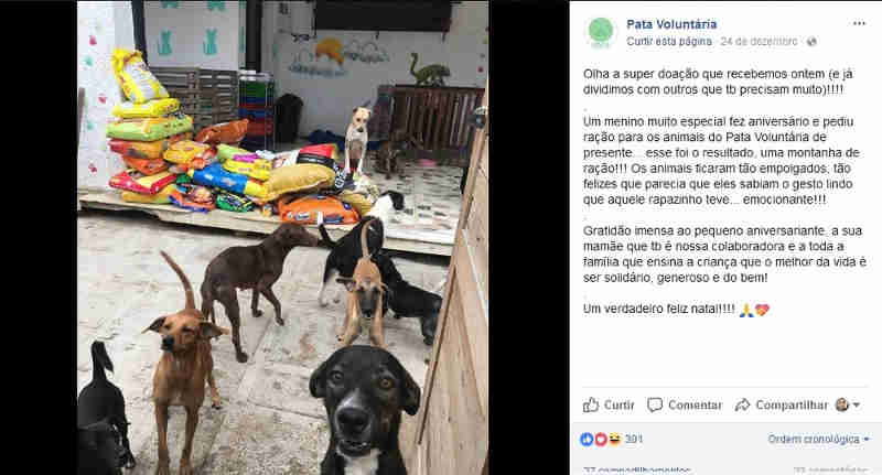 Criança pede ração como presente de aniversário e doa para abrigo em que cães foram espancados