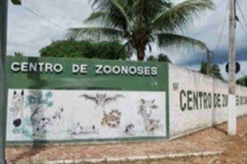 Cidadã denuncia precariedade nos serviços prestados pelo Centro de Zoonoses do Crato, CE