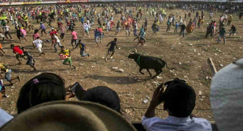 Na Colômbia, mulher nua em plena corrida de touros roubou a cena do ‘espetáculo’