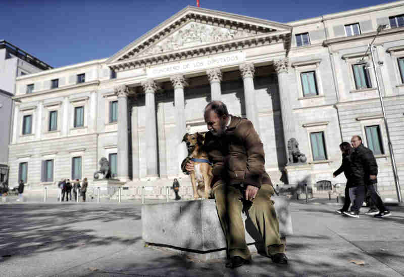 Parlamento da Espanha apoia por unanimidade considerar os animais como seres vivos e não objetos
