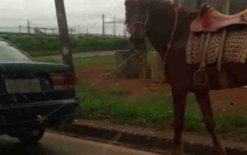 Vídeo mostra motorista puxando cavalo amarrado a engate de carro em Anápolis, GO