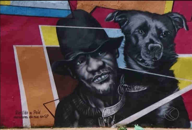 Com spray e talento, artista desenha animais em muros para incentivar adoção em Uberlândia, MG