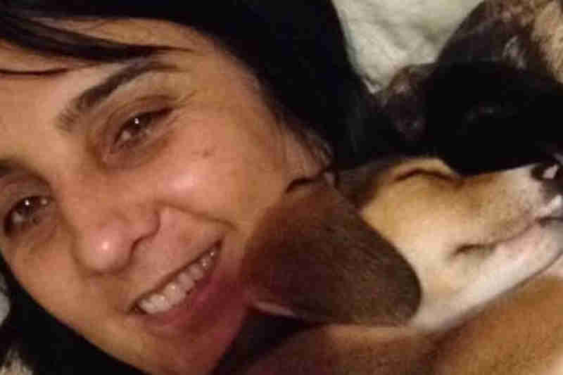 Cachorra morre de ‘tristeza’ 20 dias após tutora falecer