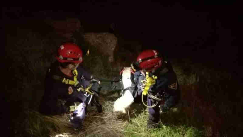 Bombeiro quer ficar com cão que resgatou na Eira do Serrado, Portugal