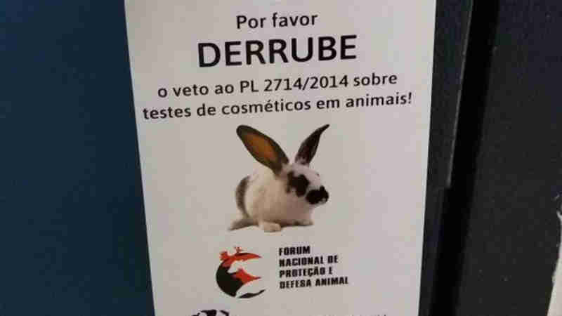 Ativistas vão à Alerj pedir derrubada de veto ao fim dos testes de cosméticos em animais