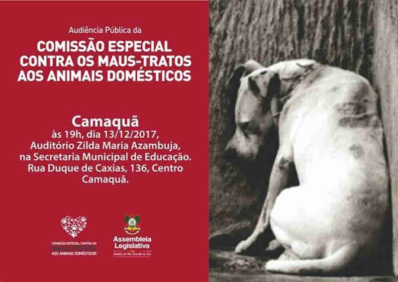 Audiência pública para tratar sobre maus-tratos contra animais ocorre dia 13 em Camaquã, RS