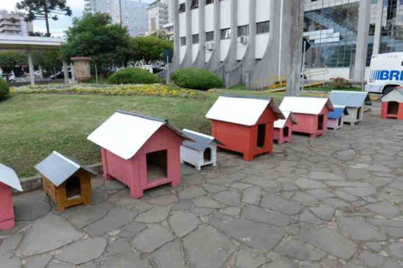 Ação transforma caixotes sem uso em casinhas para cachorros do canil de Caxias do Sul, RS