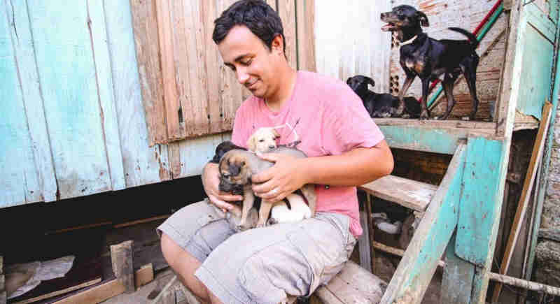 Leishmaniose: Três em cinco cães condenados à morte pela prefeitura de Florianópolis (SC) não estão doentes
