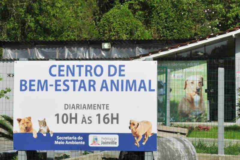 Ministério Público tenta manter atendimento no Centro de Bem-Estar Animal em Joinville, SC