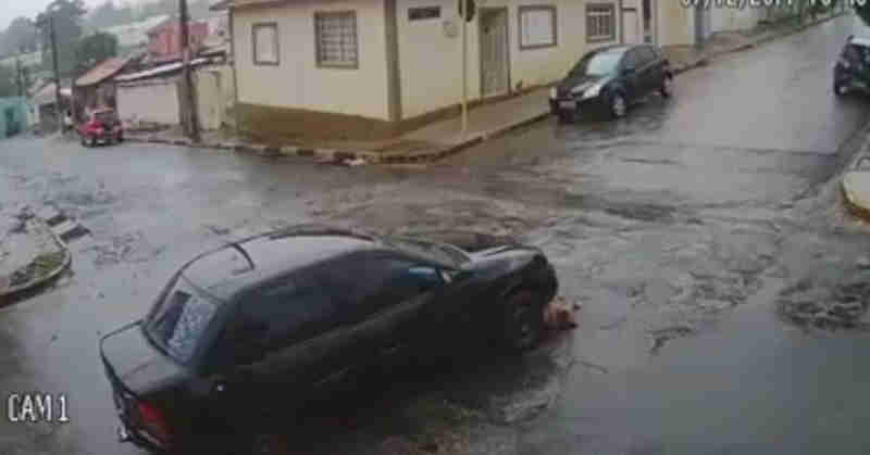 Motorista atropela e arrasta vira-lata pela rua em Angatuba, SP; vídeo