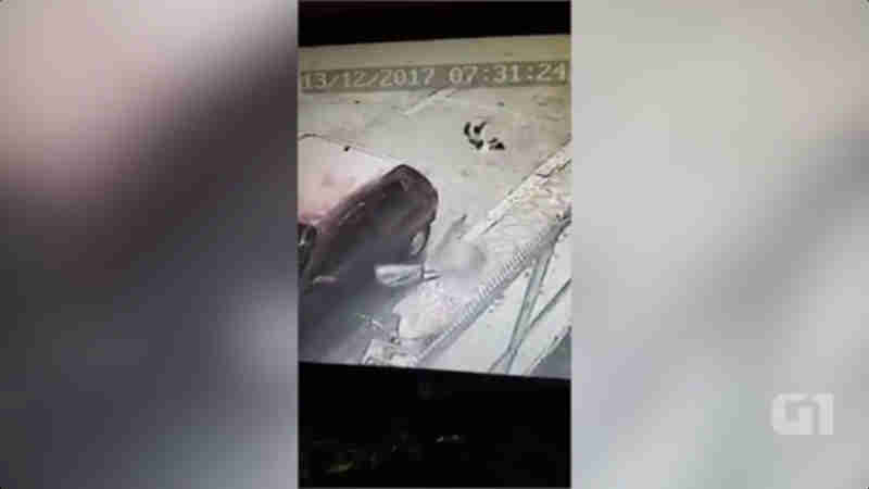 Vídeo de gato sendo arremessado em Guaratinguetá (SP) viraliza nas redes sociais