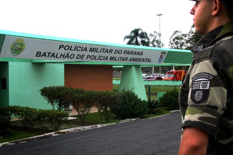 44 pessoas são detidas durante uma rinha de galos em São José dos Pinhais, PR