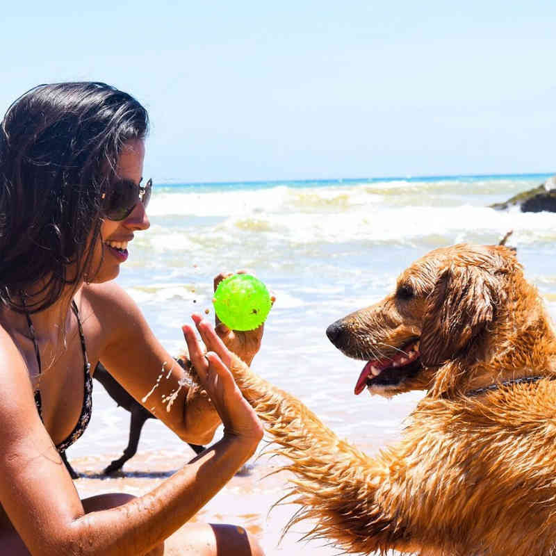 Vai ter cachorro na praia, sim! Lei municipal em Salvador (BA) proíbe, mas especialistas dizem que cães têm direito de frequentar