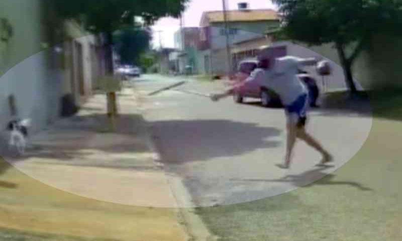 Homem é flagrado agredindo cão com rodo em rua de Goiânia — Foto: TV Anhanguera/Reprodução