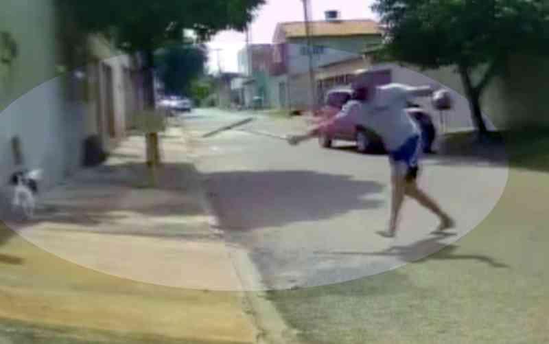 Cão rasteja de dor no asfalto após ser ferido por rodo arremessado por homem em Goiânia; vídeo