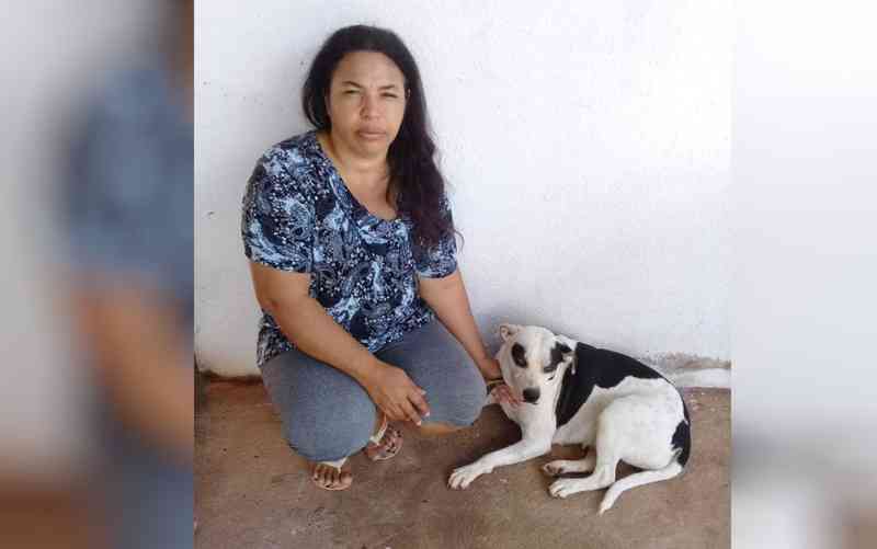Tutora de cadela atacada com rodo quer que agressor pague o tratamento, em Goiânia
