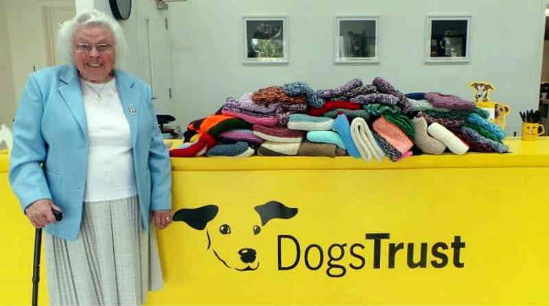 Uma senhora de 89 anos tricotou cerca de 450 casacos e cobertores para cães de abrigo na Inglaterra